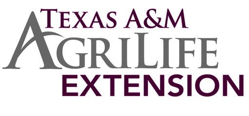 Texas AM AgriLife Logo - 9-1-12.jpg