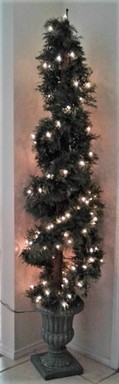 christmas tree lighted.jpg